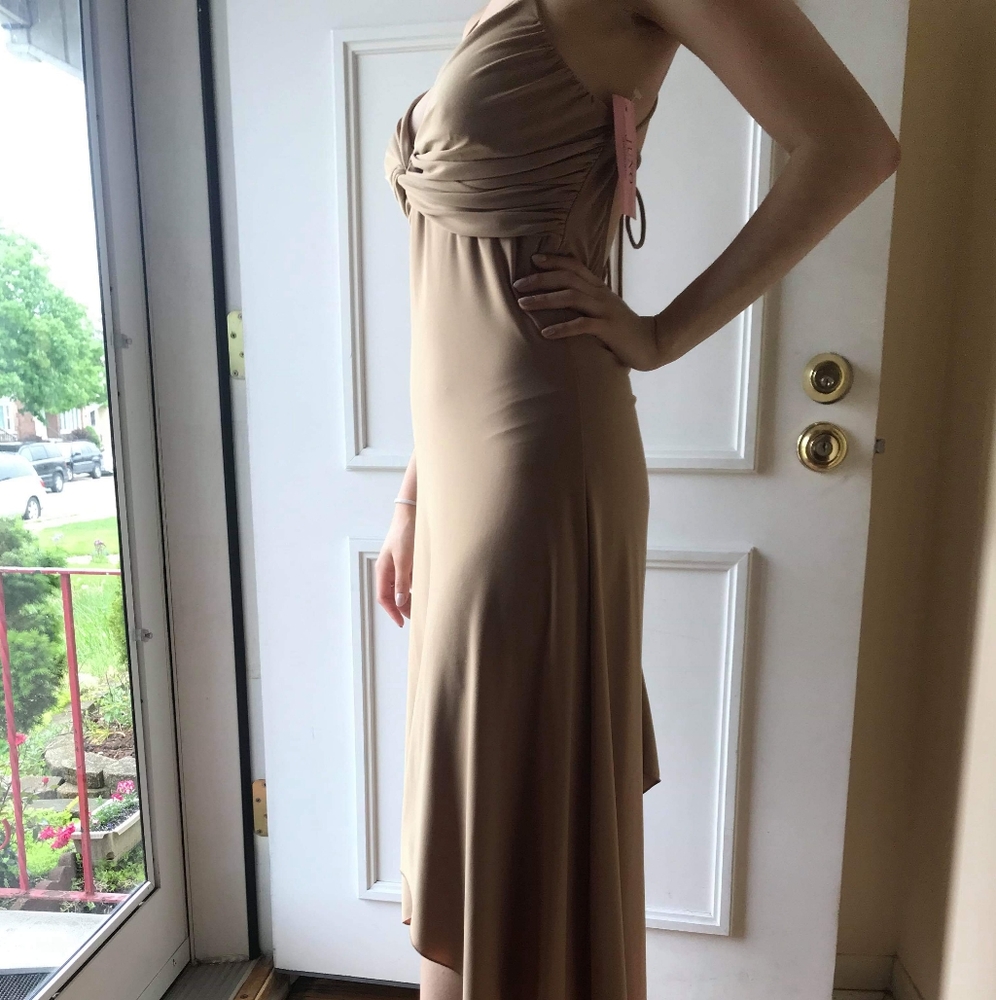 Long Formal Tan Dress - Picture 4 of 8